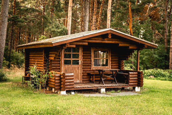 Palkkämping männiku all